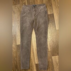 Silver Jeans “Suki” Jeggings